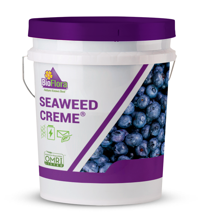 BioFlora® SeaWeed Creme