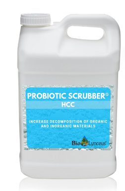 Probiotic Scrubber HCC
