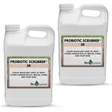 Load image into Gallery viewer, Probiotic Scrubber SR
