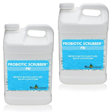 Load image into Gallery viewer, Probiotic Scrubber I
