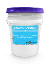 Load image into Gallery viewer, Probiotic Scrubber P
